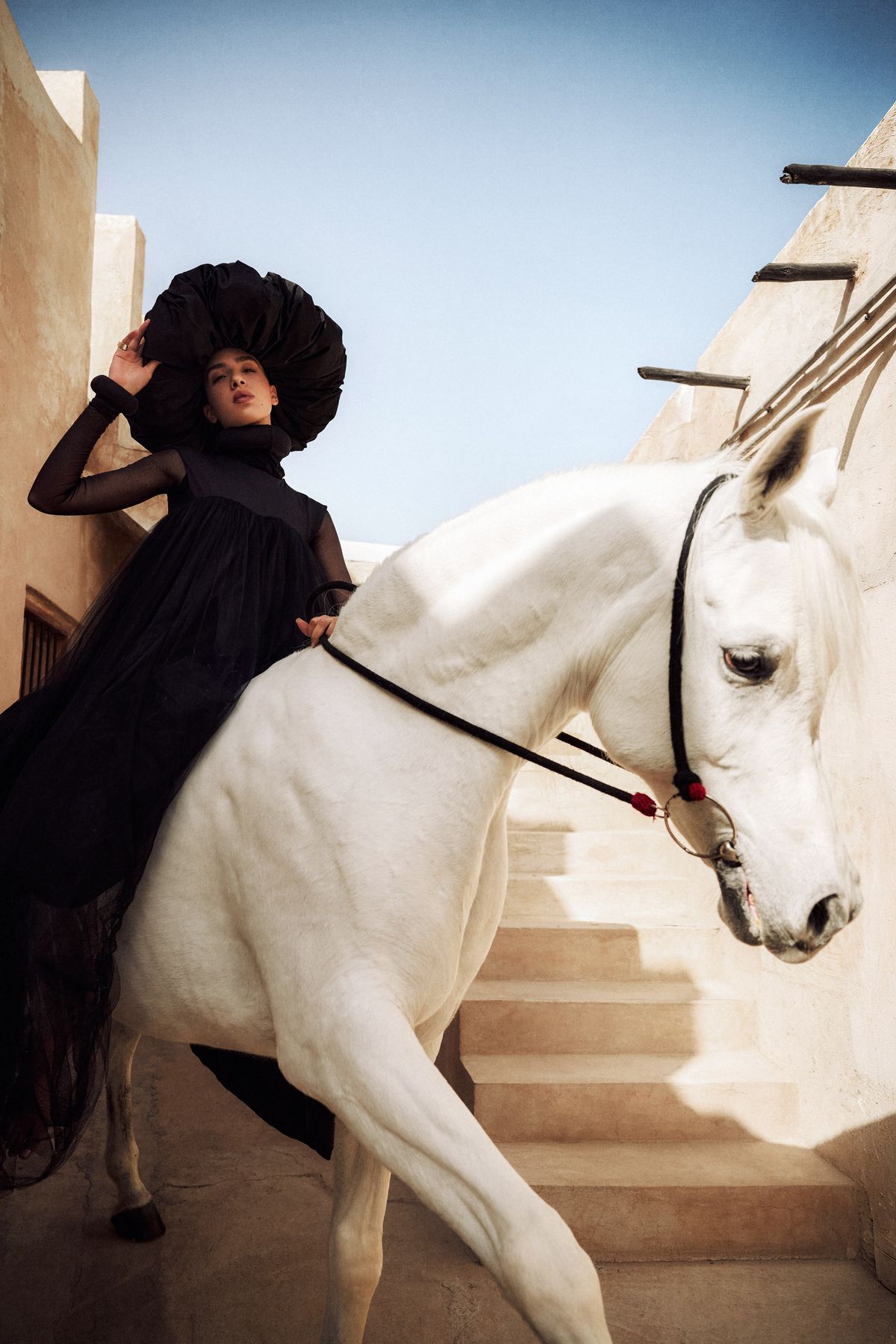 Model in a black gown and wide hat seated on a white Arabian horse